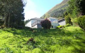 The Glen